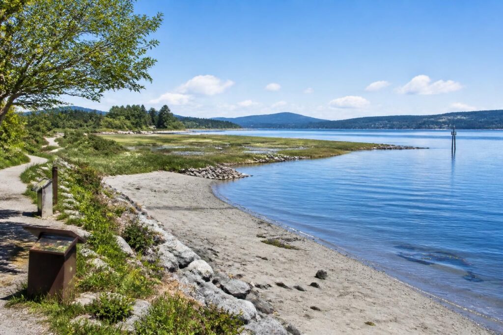 découvrez tout ce qu'il faut savoir sur le shoreline master program dans le comté de washington, ses objectifs, ses réglementations et son impact sur l'aménagement du littoral.